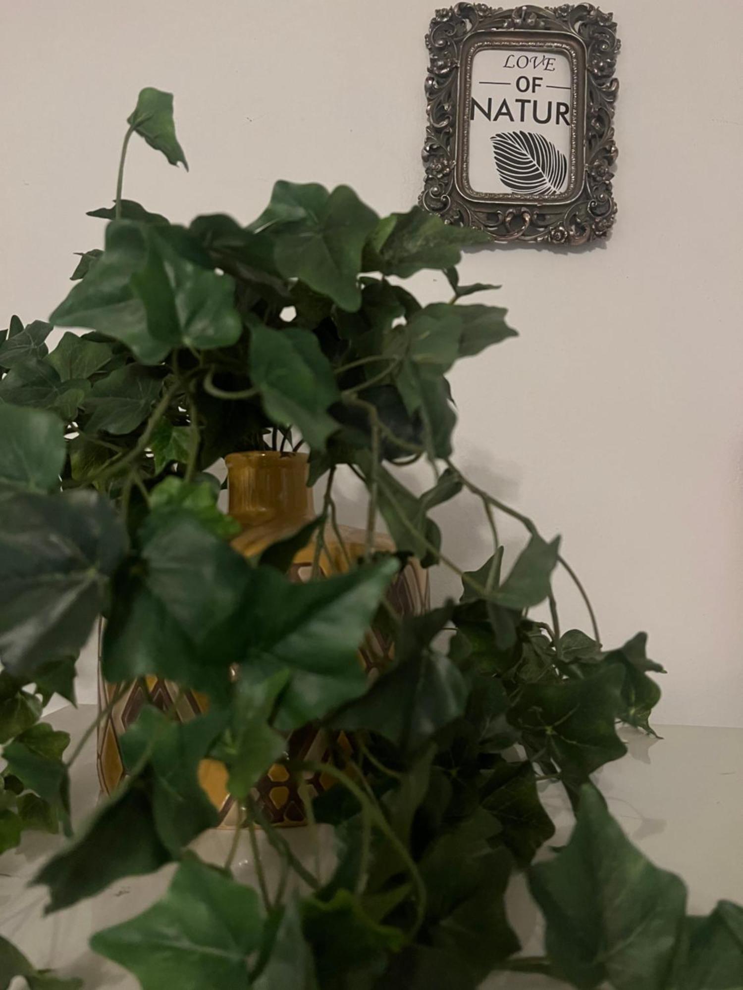 Lamda Vintage Appartment Atenas Exterior foto